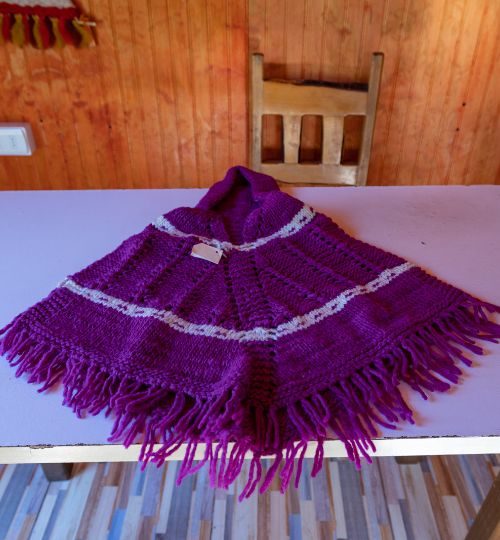 Lago budi Demostración del Arte Textil Mapuche: 3