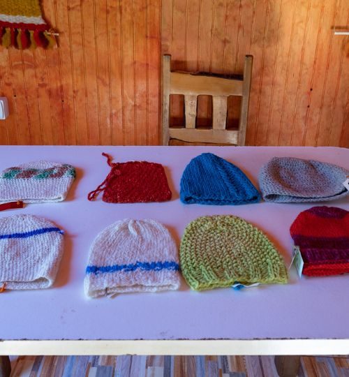 Lago budi Demostración del Arte Textil Mapuche 5