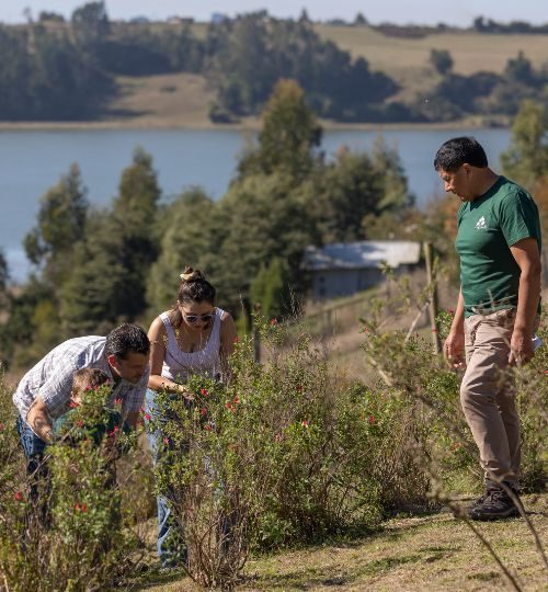 Lago budi charla temática para conocer la medicina tradicional mapuche 3