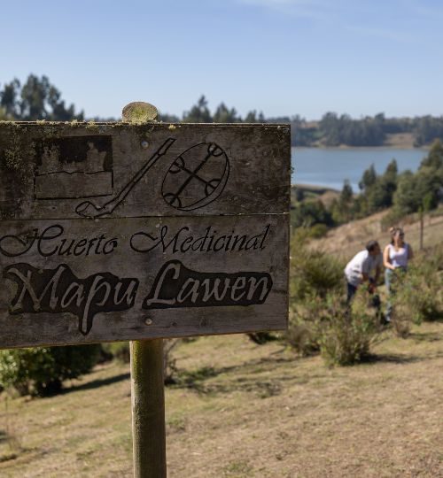 Lago budi charla temática para conocer la medicina tradicional mapuche 4